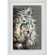 Apollo - Limited Edition - White Framed