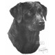 Black Labrador - Print only