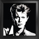 Bowie - Fabrica Collection, Monochrome (On Velvet) - Framed