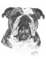 Bulldog - Print only