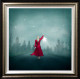 Fallen Star - Deluxe - Framed