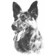 German Shepherd Dog A - Print only