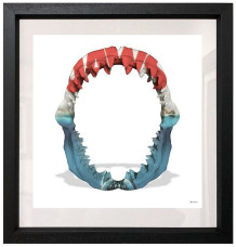 Jaws - White Background - Regular Size - Framed