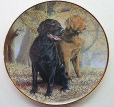Lifelong Companions Lifelong Companions