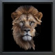 Magnus - Original - Framed