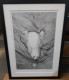 Polar Bear Swimming - Black Framed - Print