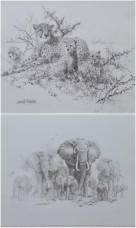 Portfolio Set I - Cheetahs & Elephants (Set Of 2) Portfolio Set I - Cheetahs & Elephants (Set Of 2)