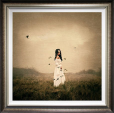 Song Bird - Deluxe - Framed