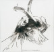Study For Floating Angel 10 - Print