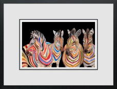 The Savannah Stripes - Paper