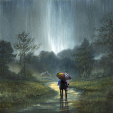 Warmth Beyond The Rain - Limited Edition - Board Only