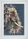 Willow - Limited Edition - White Framed