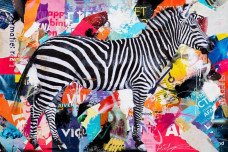 Zebra Lounge - Board Only