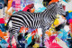 Zebra Lounge - Board Only