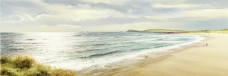 A Walk Along The Bay