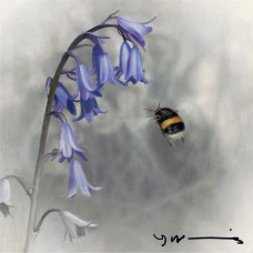 Bluebell - Buff Tail Bee - Original - Framed