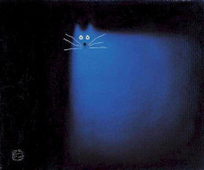 Boo Cat
