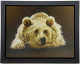 Browned Off - Framed Box Canvas