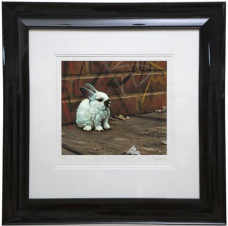 Bruiser - Paper - Framed