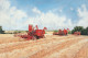 Chasing The Past - Print