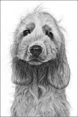 Cheeky Monkey - Cocker Spaniel - Print