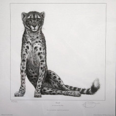 Cheetah - Mounted