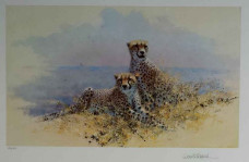 Cheetah - Dark Wood Framed