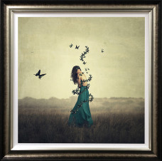 Circle Of Wings - Deluxe - Framed