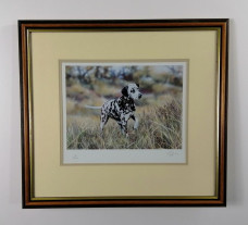 Dalmatian - Brown Framed  
