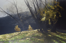 Depths Of Autumn
