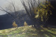 Depths Of Autumn - Deluxe Canvas - Box Canvas