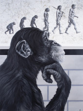 Devolution Of Evolution