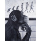 Devolution Of Evolution - Mounted