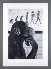 Devolution Of Evolution - Grey Framed