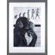 Devolution Of Evolution - Grey Framed