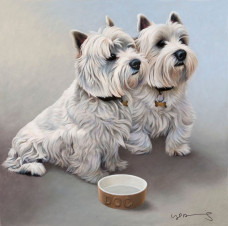 Dinner Time - Box Canvas