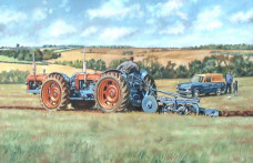 Doe Triple-D No.144 - Canvas Edition - Box Canvas