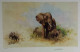 Elephant And Babies - Dark Wood Framed