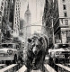 Endangered Empire - Limited Edition - Board Only