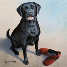 Evening Delivery (2015)
