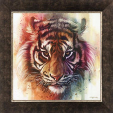 Eye Of The Tiger - On Canvas - Framed