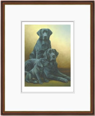 Generations - Black Labradors - Dark Wood Framed