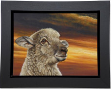 Hope - Framed Box Canvas