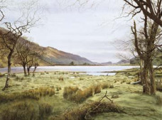 In Splendid Isolation