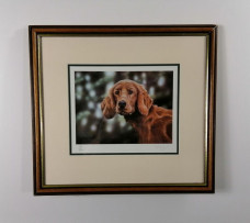 Irish Settler - Brown Framed