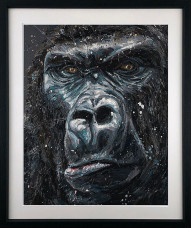 Jock - Black Framed