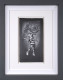 Kidding Around - Sketch - Framed