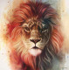 King Of The Jungle - Canvas - Board Only