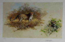 Leopards - Dark Wood Framed