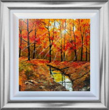 Looking On The Bright Side - Original - Silver Framed